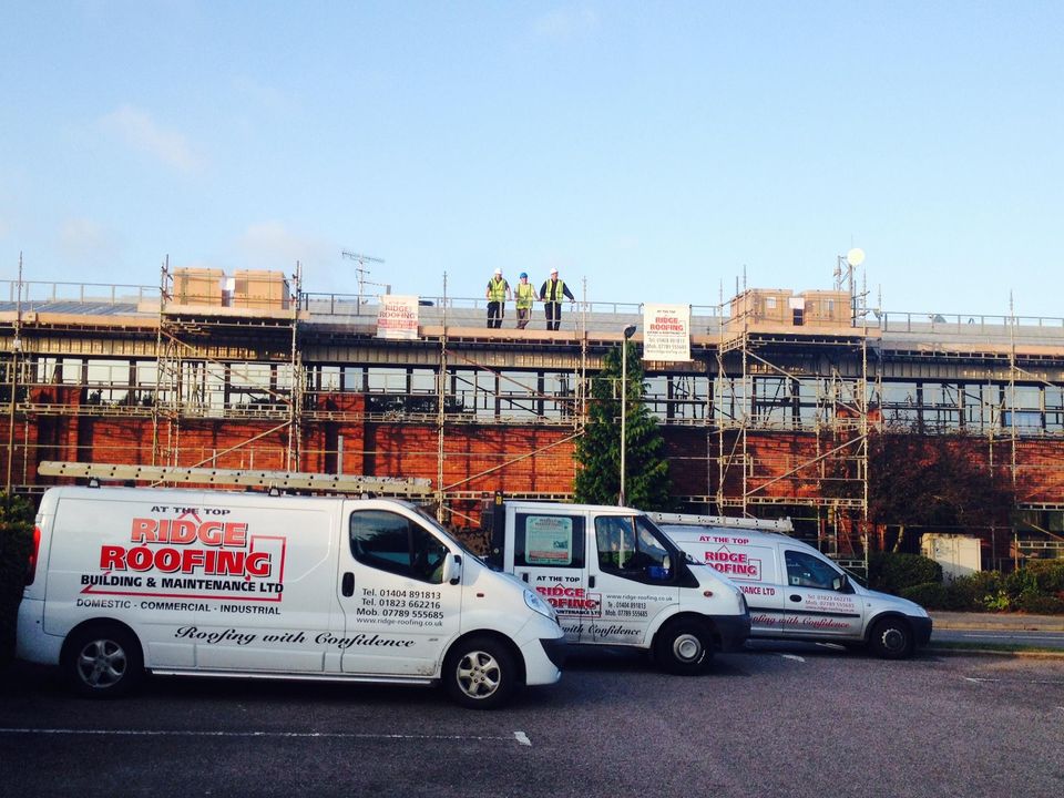 Extensive scaffolding